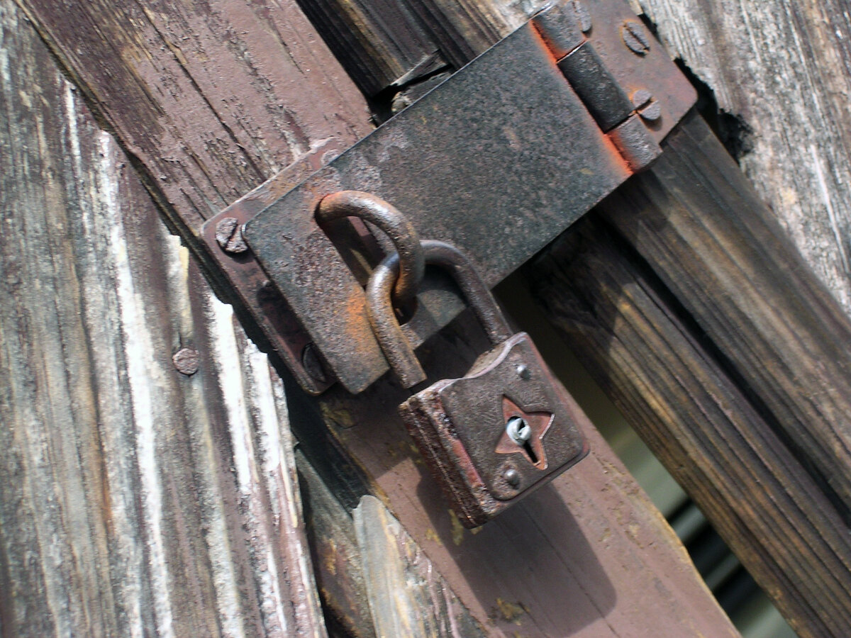 Фото: wikipedia.org