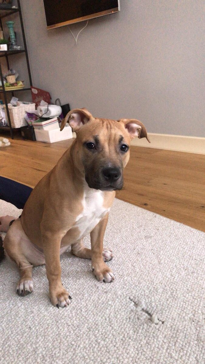 на этом фото Стеше 4 месяца