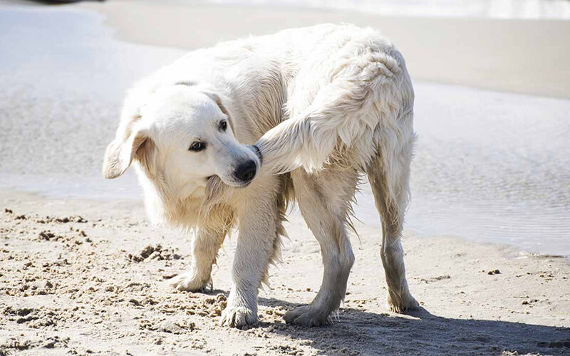 Будьте осторожны: эта игра легко может выйти из-под контроля и превратиться в серьезую проблему. Фото Zuberka/istockphoto