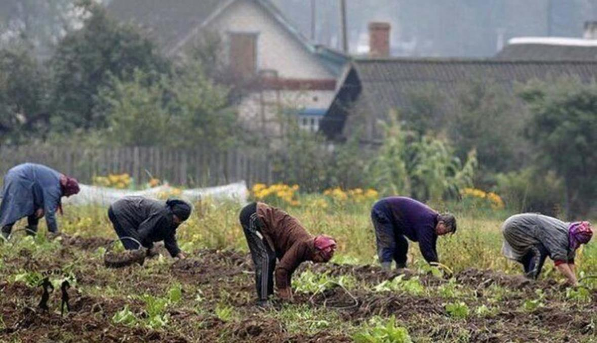 А ваша дача в особой зоне? | Молодой ленинец | Дзен