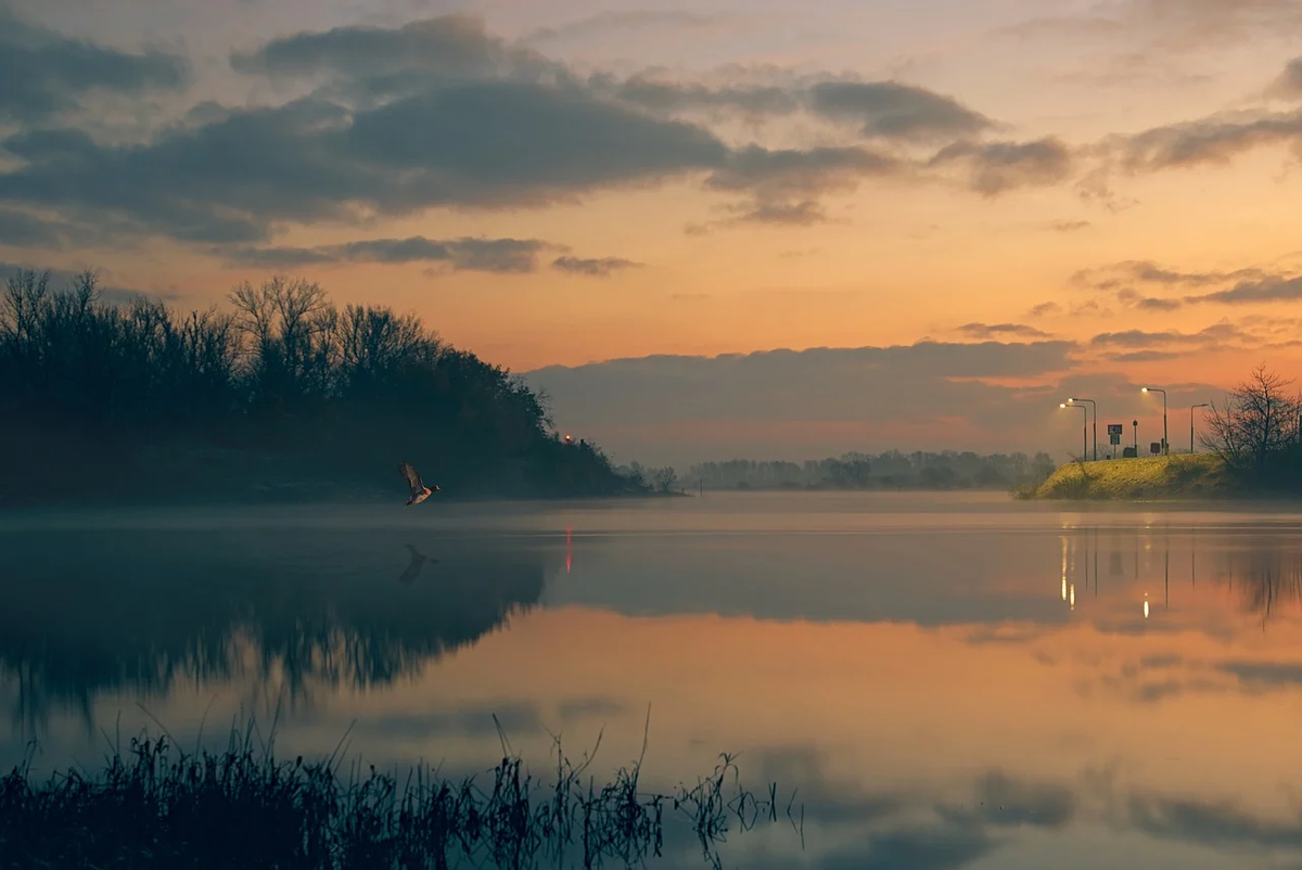 https://pixabay.com/ru/photos/река-восход-туман-дымка-птица-5770103/