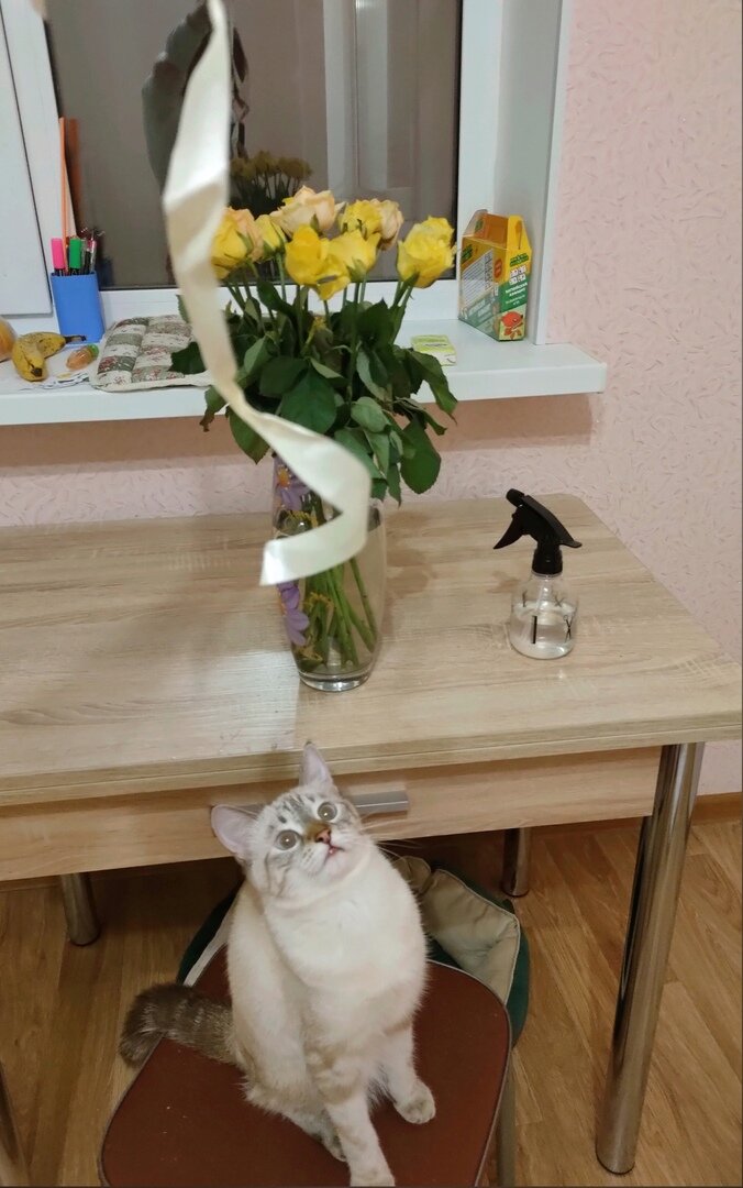 И такое у меня лицо, когда я находилась в недоумении от итоговой суммы