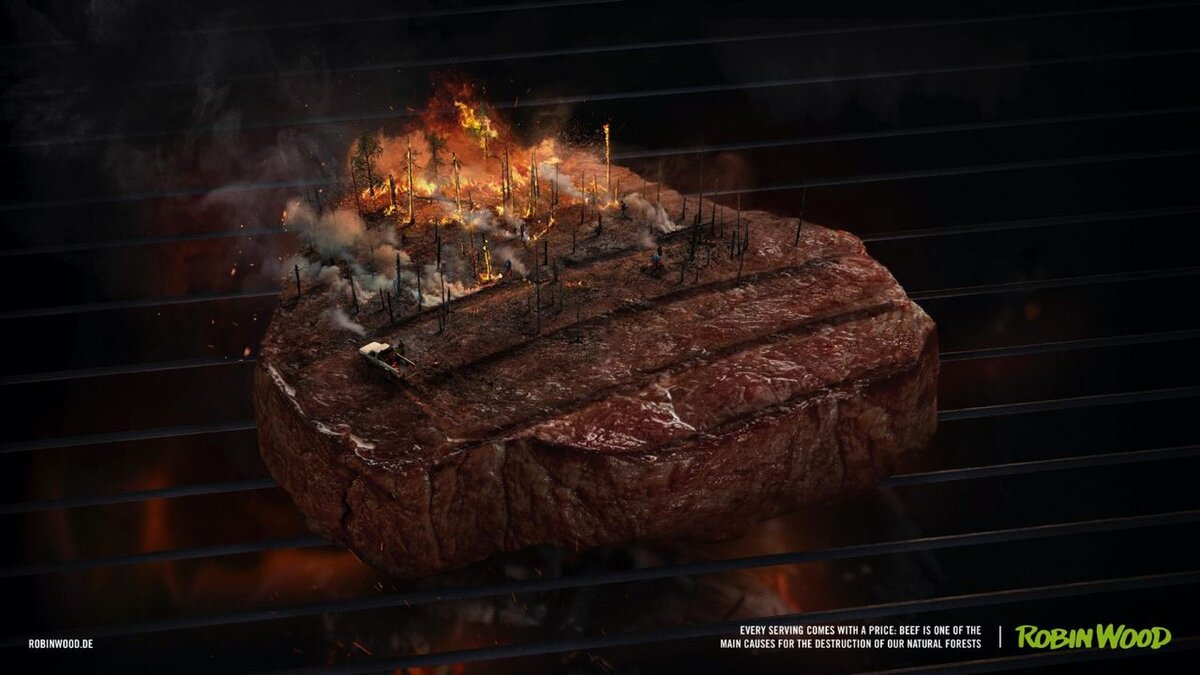 иллюстрация 1