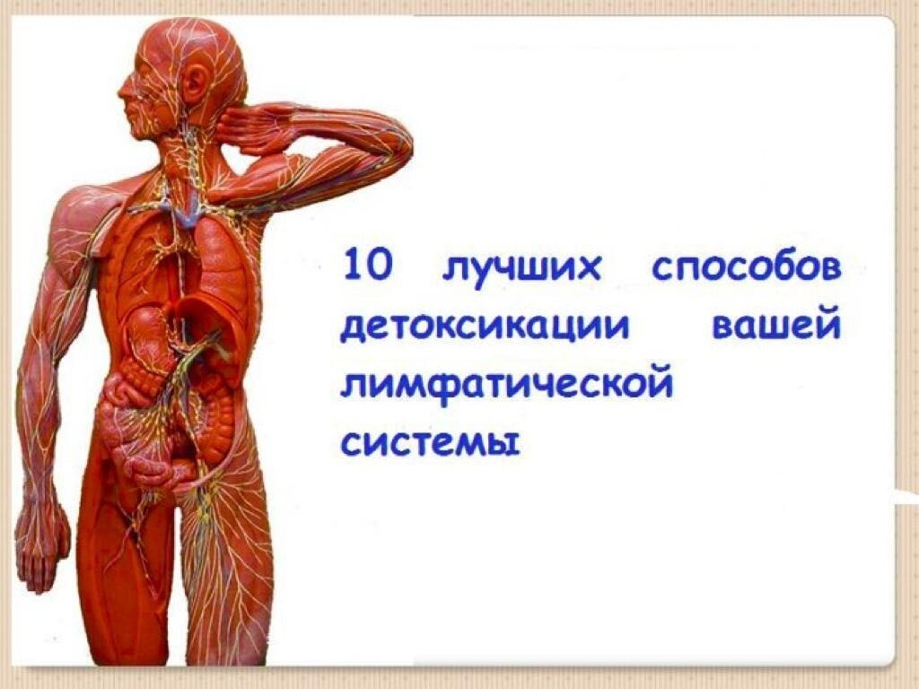 10 лучших способов детоксикации вашей лимфатической системы | Центр  Энерготерапии | Дзен