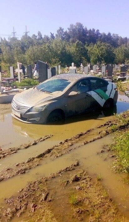 Фото с портала Яндекс.Картинки.
