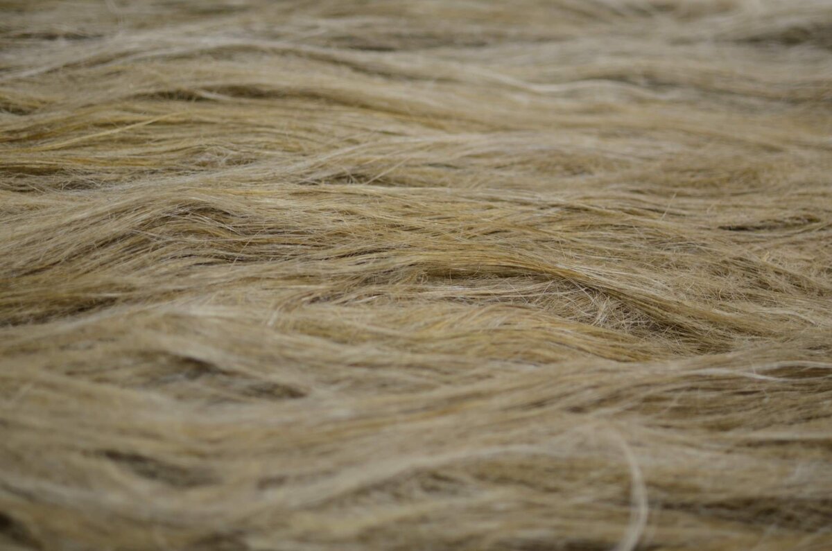 Натуральное волокно лен. Льняная Кудель. Лен волокно. Волокно из льна. Лен текстильное волокно.