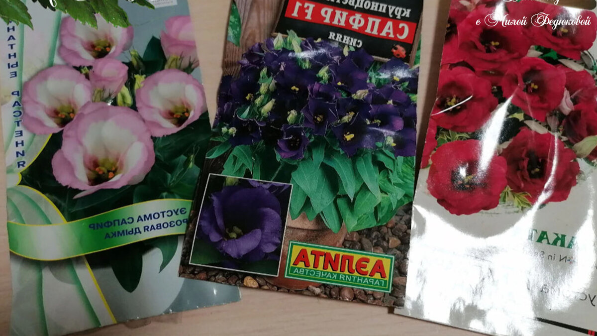 Семена эустомы