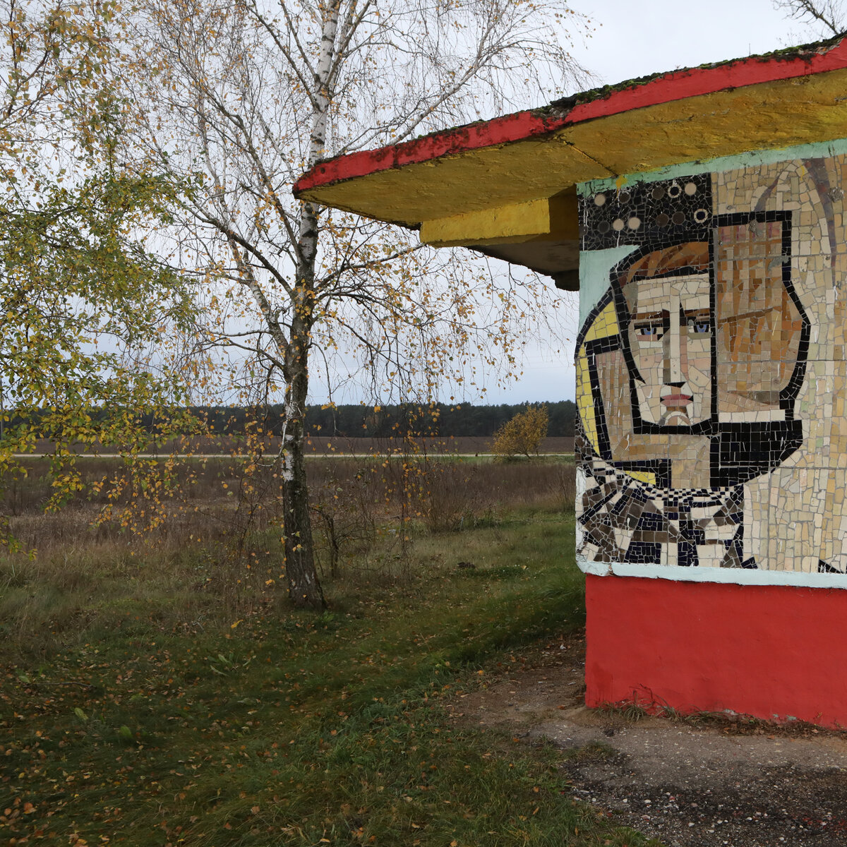 деревня Березняки, Каменецкий район