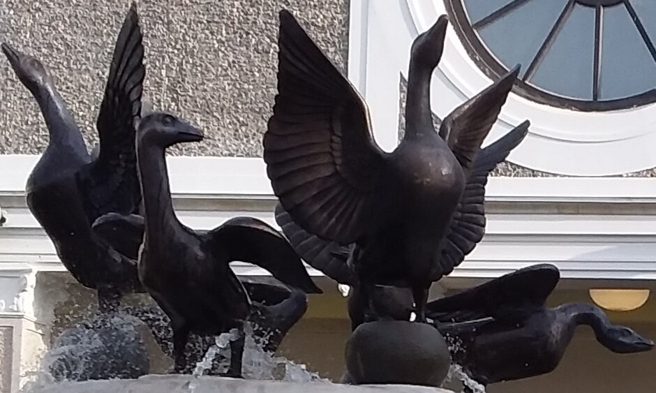 Фотография из личного альбома 