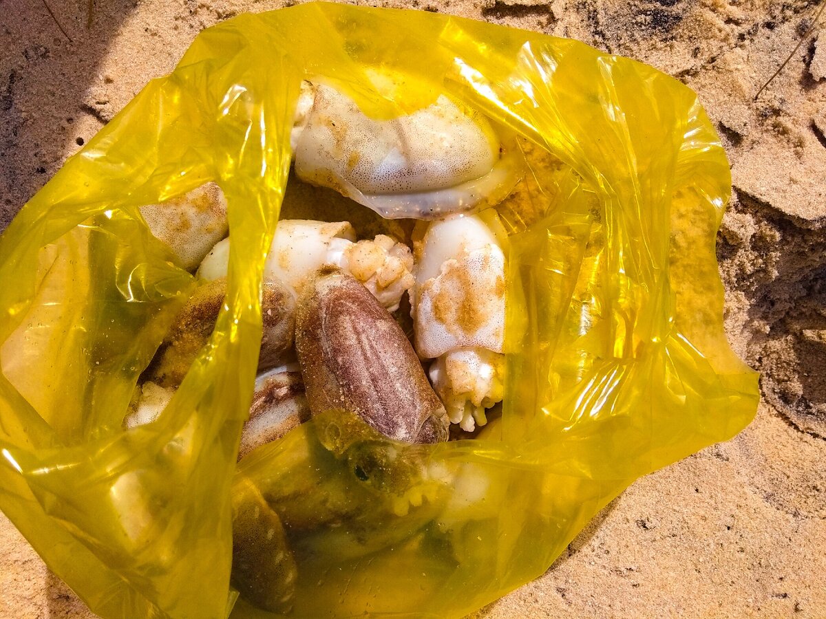 Мой будущий ужин