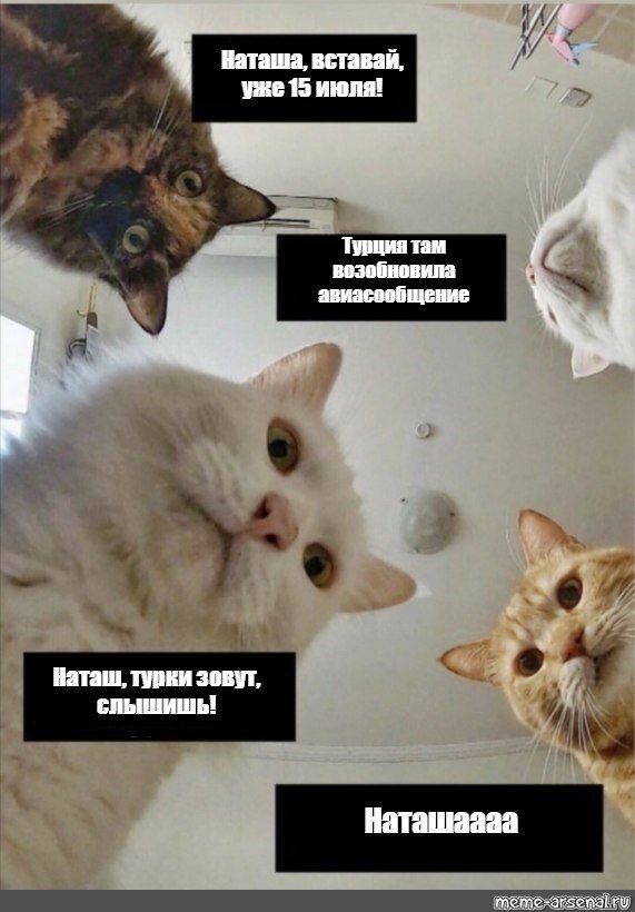 Версия 1, популярно-торговая