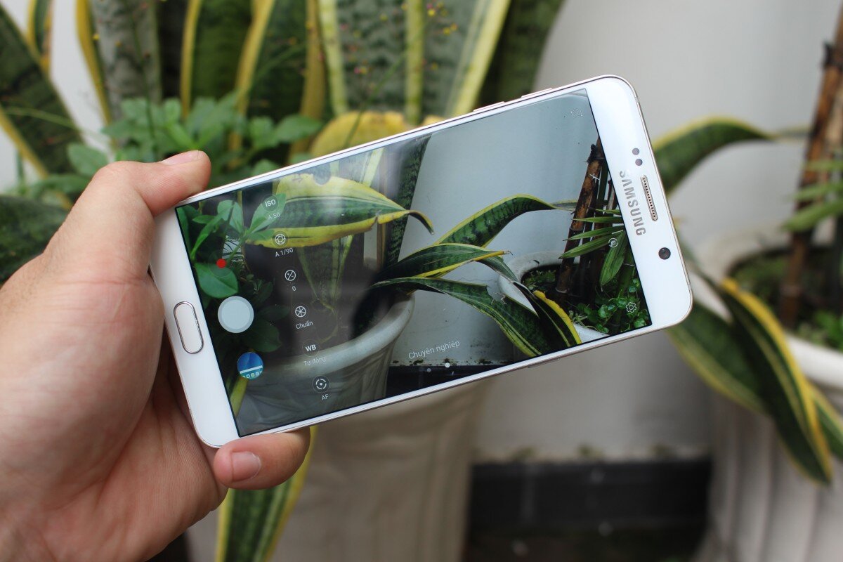 Источник: pxhere.com