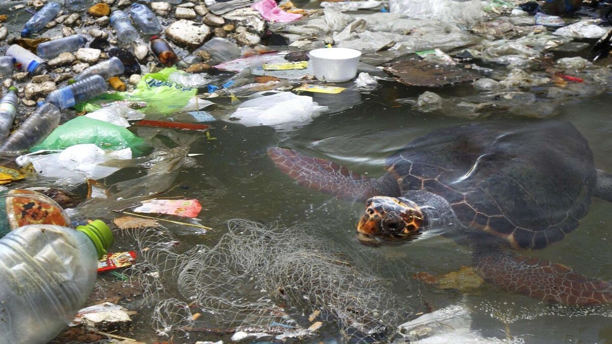 Картинки загрязнение воды пластиком