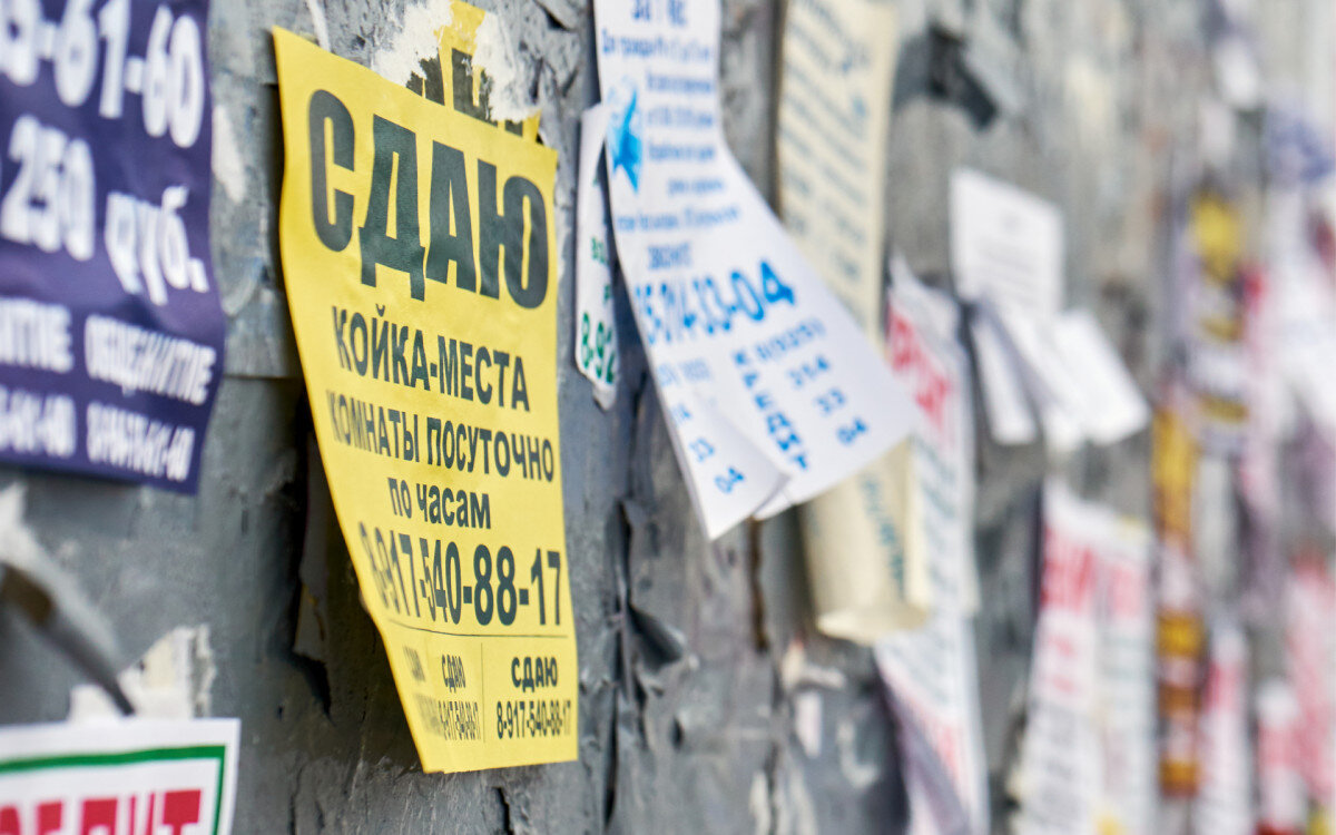 Фото: Georgy Dzyura/shutterstock