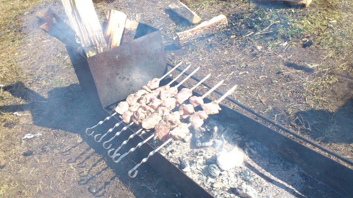 Уехали от режима черного неба. Едем на природу жарить шашлык и кататься на  лошадях | Анатолий Черемных | Дзен