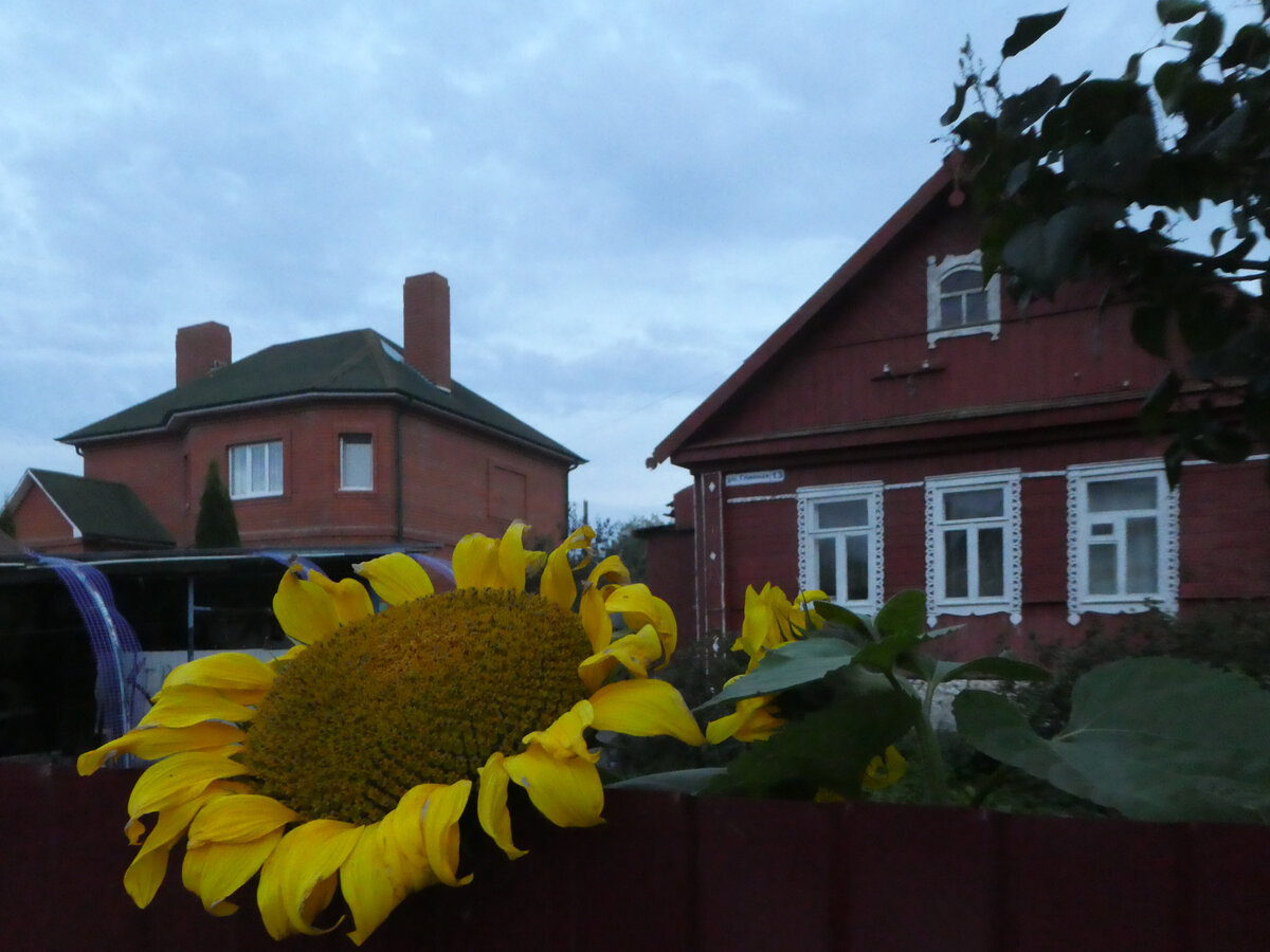 Вязьма. Частный сектор