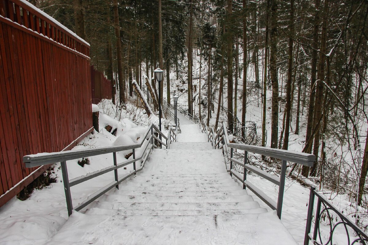 Здесь и далее - фото автора