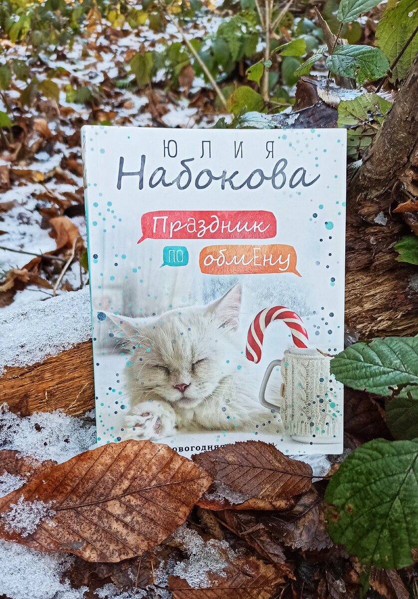 Всеволод Серебров - богатый и влиятельный банкир, входящий в список ФОРБС, и не представлял, что как раз под Новый год ему придется поменяться местами с одним из должников его собственного банка. Теперь у Сереброва есть всего несколько дней, чтобы вернуть свою прежнюю жизнь и любимую женщину, которую он упустил из-за собственной черствости.