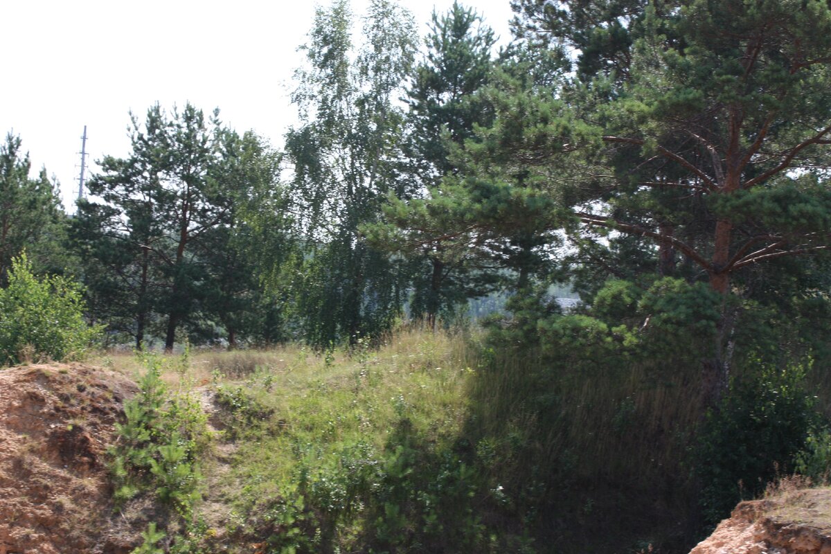 Все фото автора