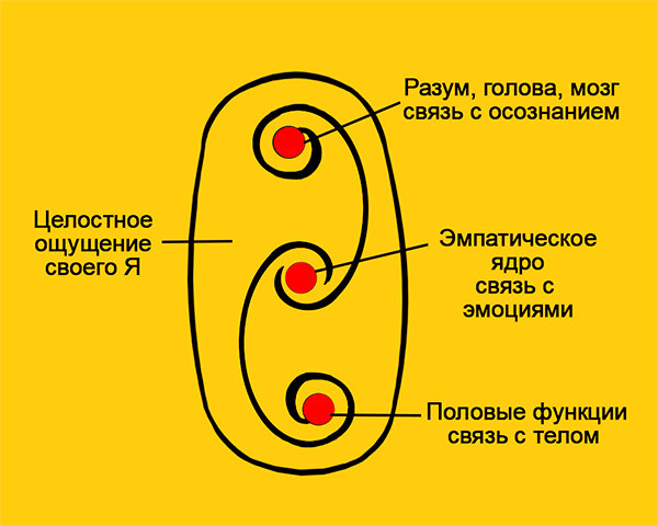 Строение психики нормотипичного человека (По Лоуэну). Все центры равноважны и вместе дают ощущение цельной, гармоничной личности