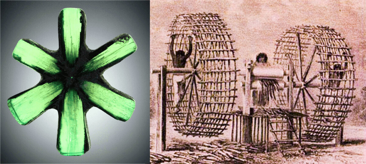 Изумруд трапиче, похожий на то самое колесо, в честь которого получил свое название. Фото Dom.Busin.ru