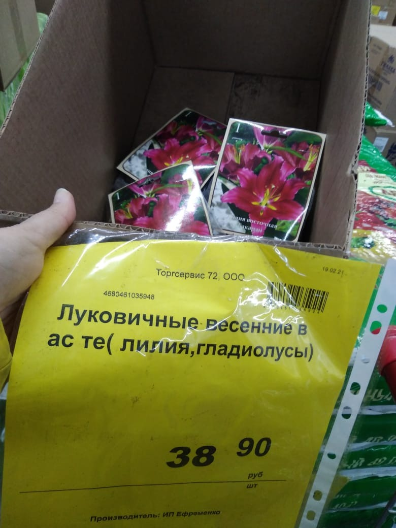 коробка с луковицами лилий                                                                            