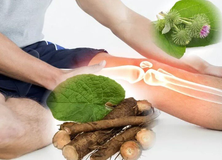 Чем полезен лопух для суставов?