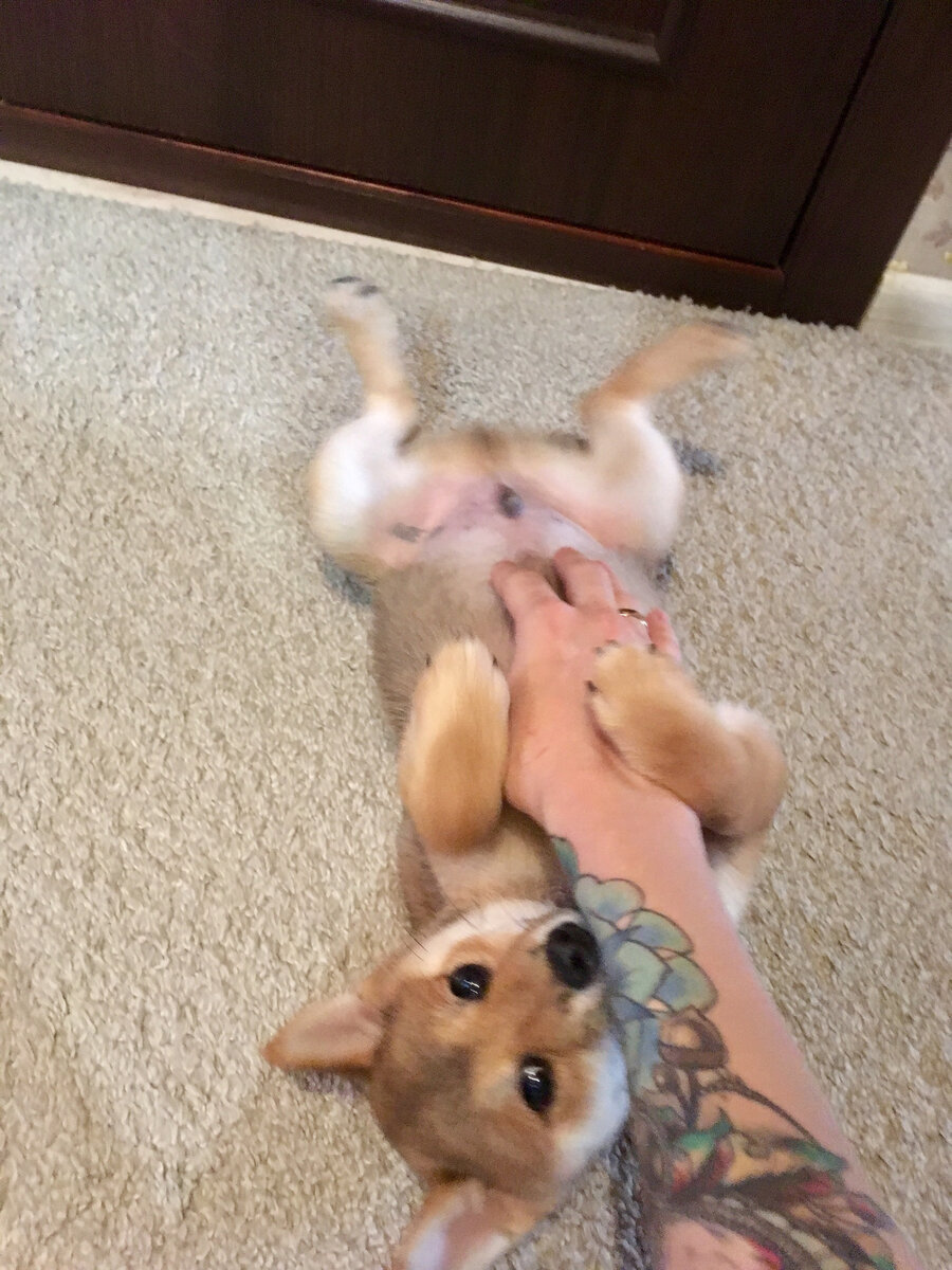 Тимо впивается в мою руку)))