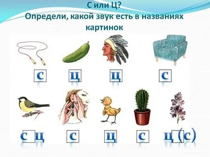 Дифференциация ц ч картинки