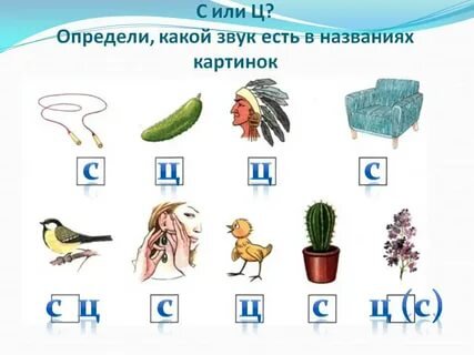 Картинки на звук ц