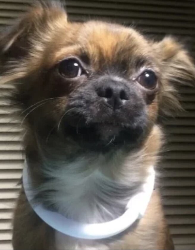 Личное фото 