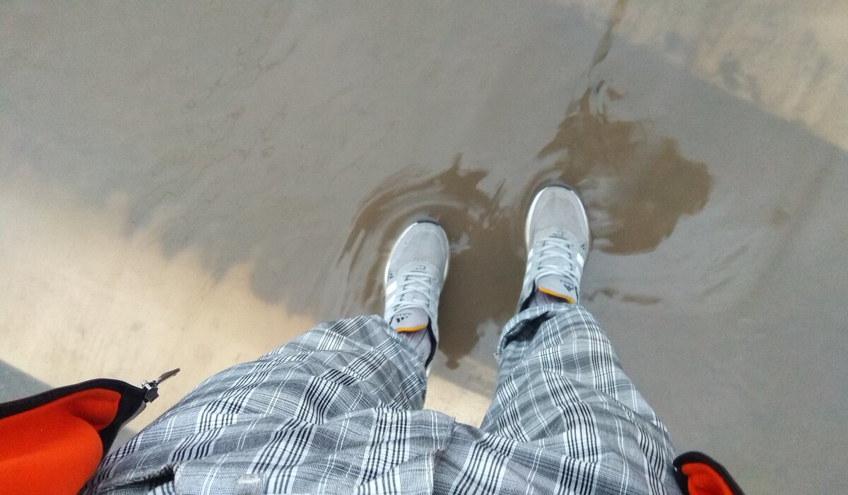 После дождя, но еще перед ливнем (26 июня 2021)