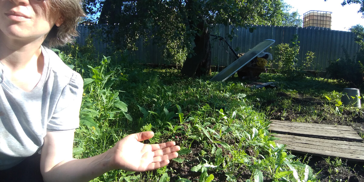 Это я на фоне морковных грядок