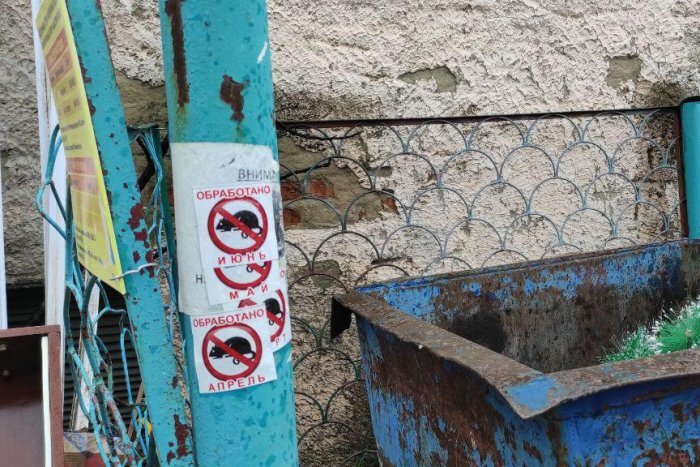 magadanpravda.ru, стикеры на помойке, Магадан 