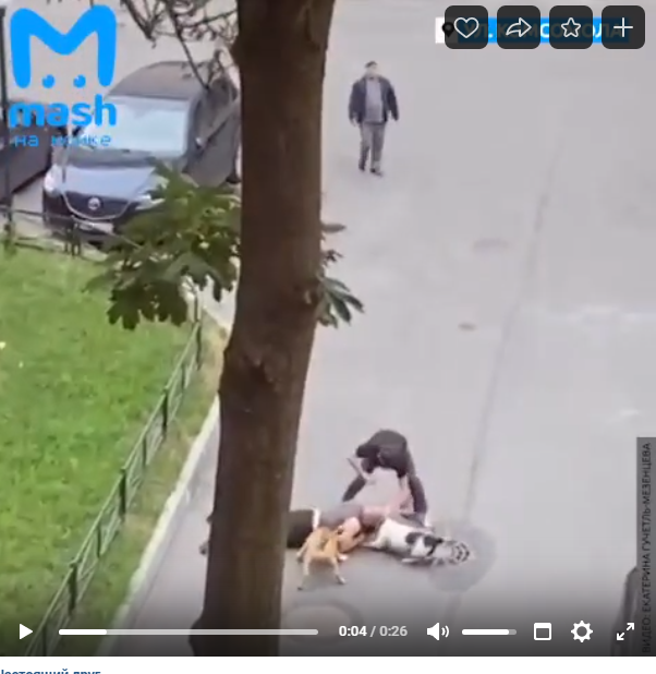 скрин с новостного паблика https://vk.com/mash.moyka