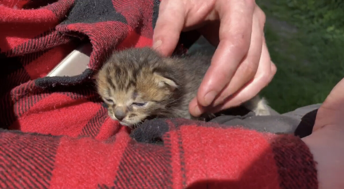 В тот день у Курской помойки остановилась машина. Из нее вышел мужчина с мусорным пакетом.-2