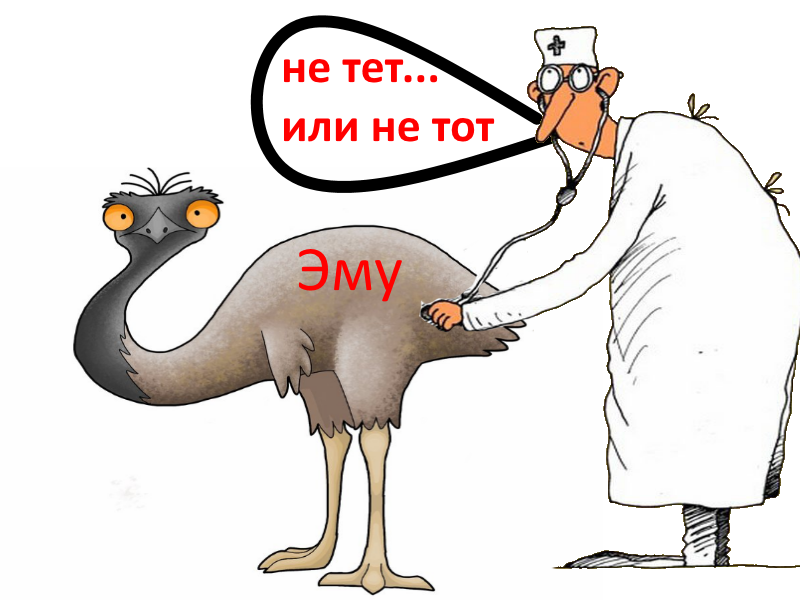 Дойти таки