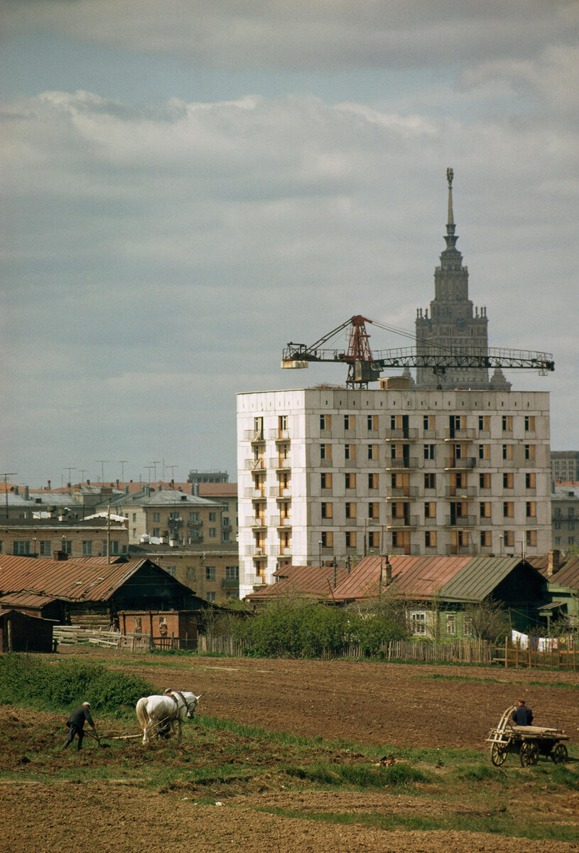 Вот эта фотография сразу бросилась мне в глаза. Здесь еще видны атрибуты старой жизни. Не привычный нам мотокультиватор, а самый настоящий плуг на лошадиной тяге. Сейчас ведь даже в самой отдаленной деревне вряд ли кто-то еще использует лошадей.