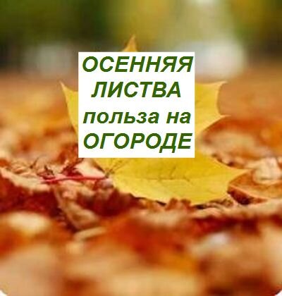 осенняя листва