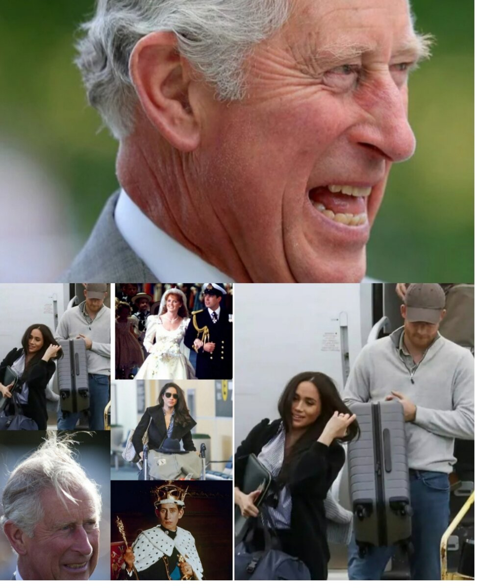 Коллаж автора.