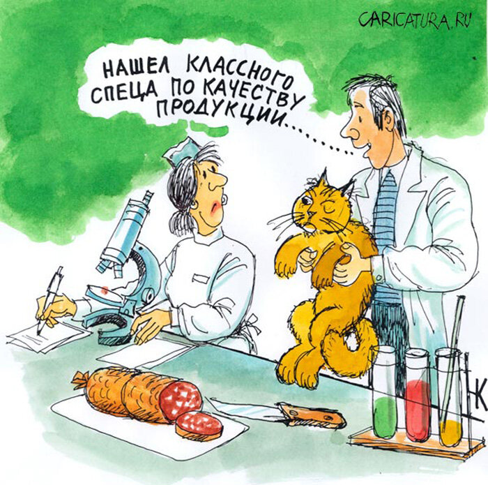 Точно, у меня кот сейчас не ест всякую  колбасу, дорогую просит, под 600 руб. за 1 кг.