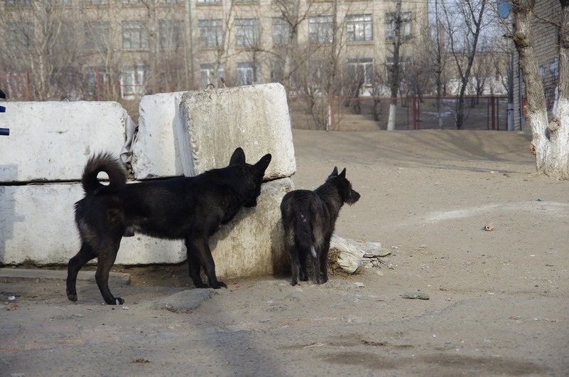 Фото: Анатолий Мишаков