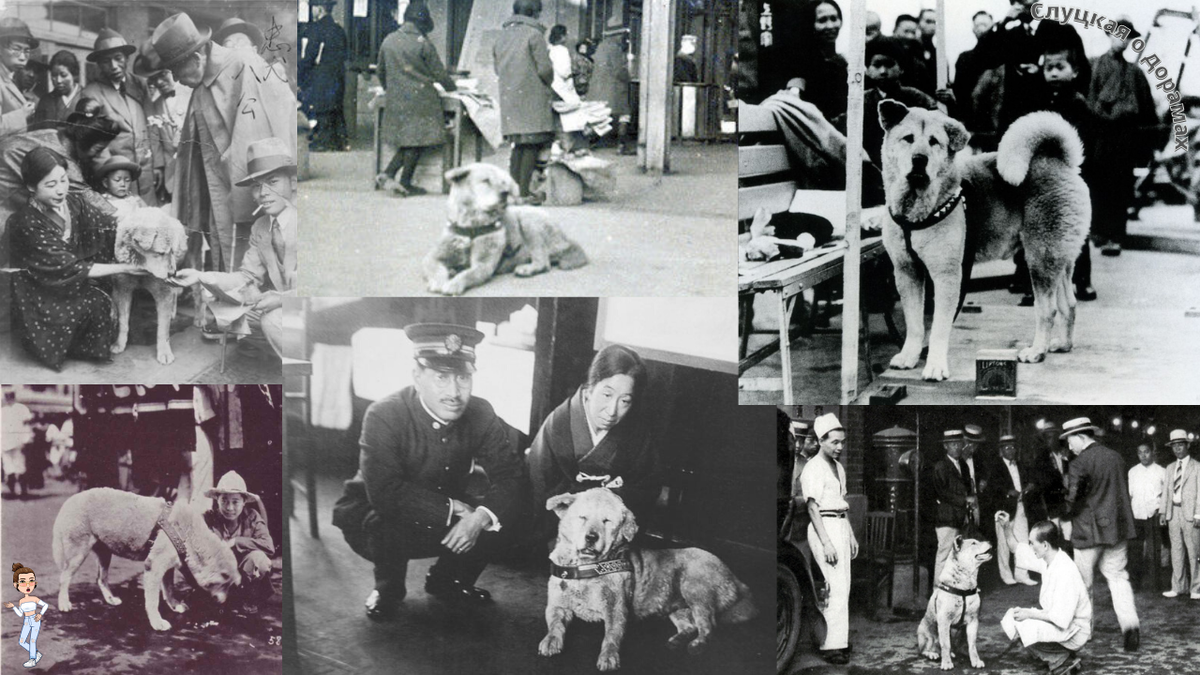 Реальный Хатико