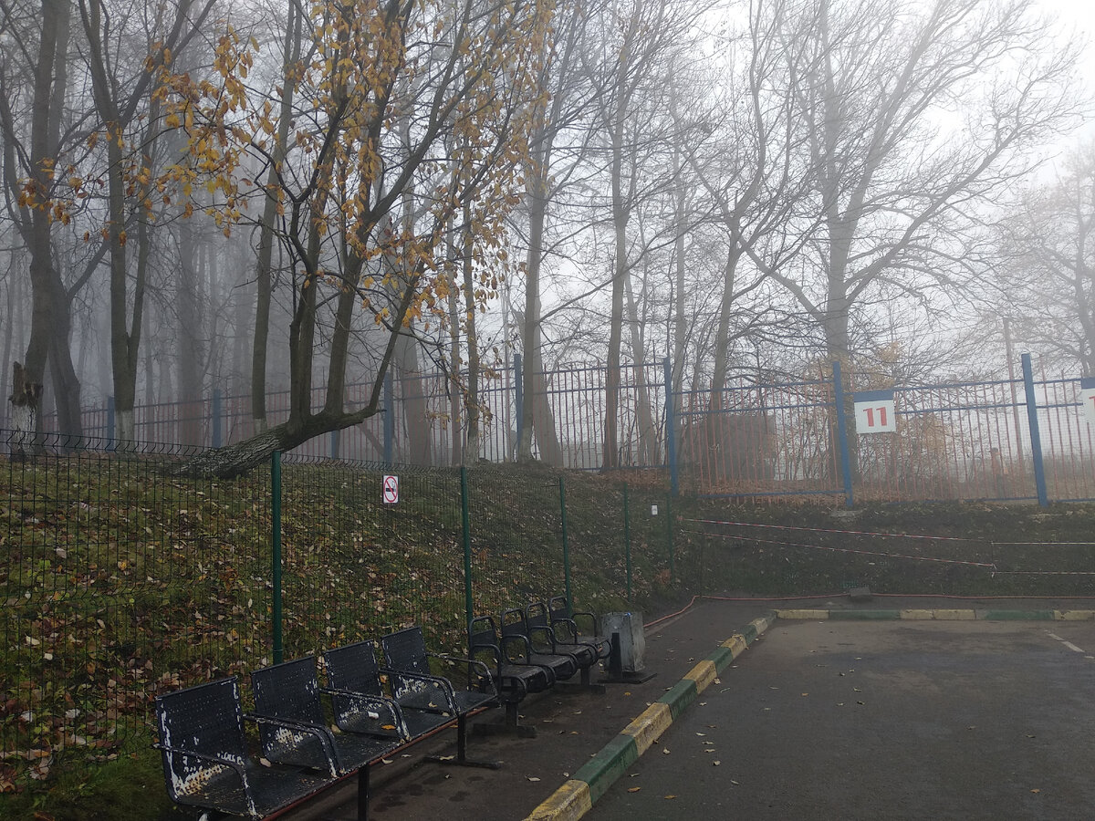 В день моего отъезда на Москву опустился густой туман. Фото автостанции Новоясеневская. Видимость была очень плохая. Я не знала как мы поедем.