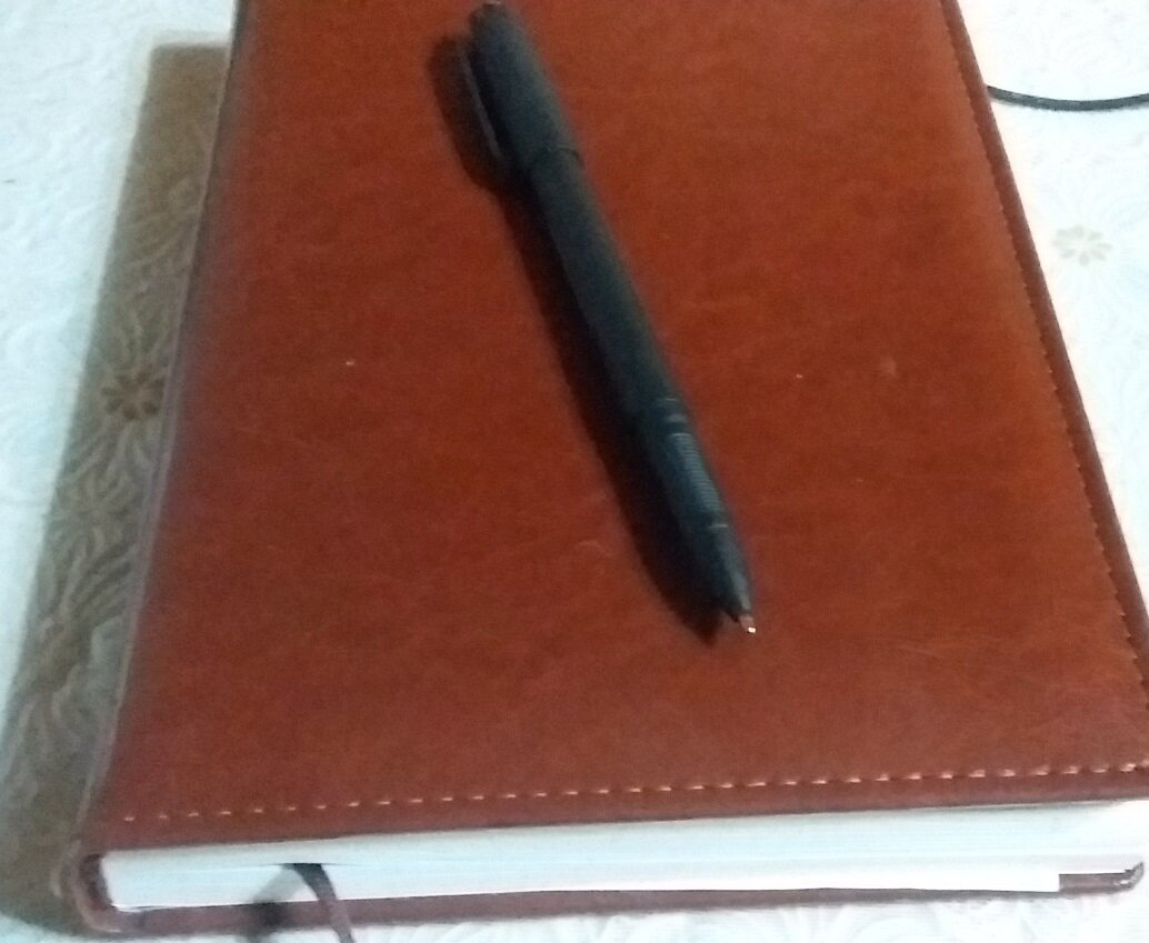 Соңгы елларда үзнәшер юлы белән китап чыгаручылар саны Балтач районында да яңгырдан соң үсеп чыккан гөмбәләр сыман артты.