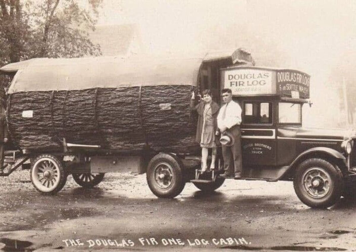 Источник: t.me/Black_History