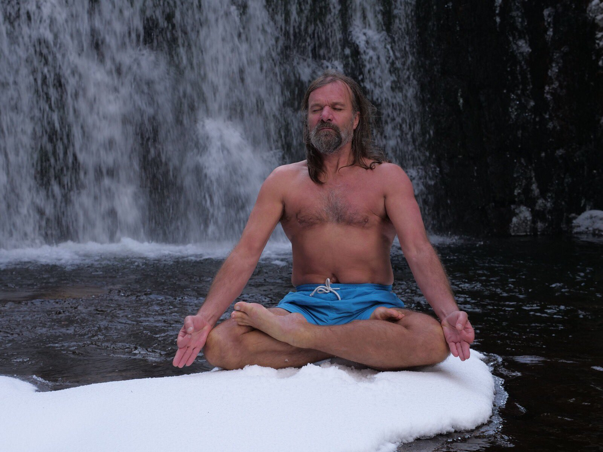 источник: twitter.com, whm