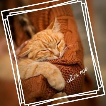 Ну так Новый год же у порога.... А как же без чудес?