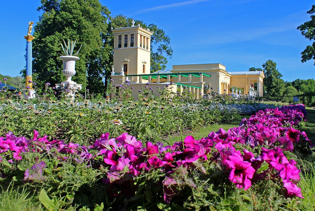 На Пискарёвском проспекте мне встретилась... купальня Екатерины Великой...  Редкий объект в саду графа А.А. Кушелева-Безбородко | Олег Еверзов | Дзен