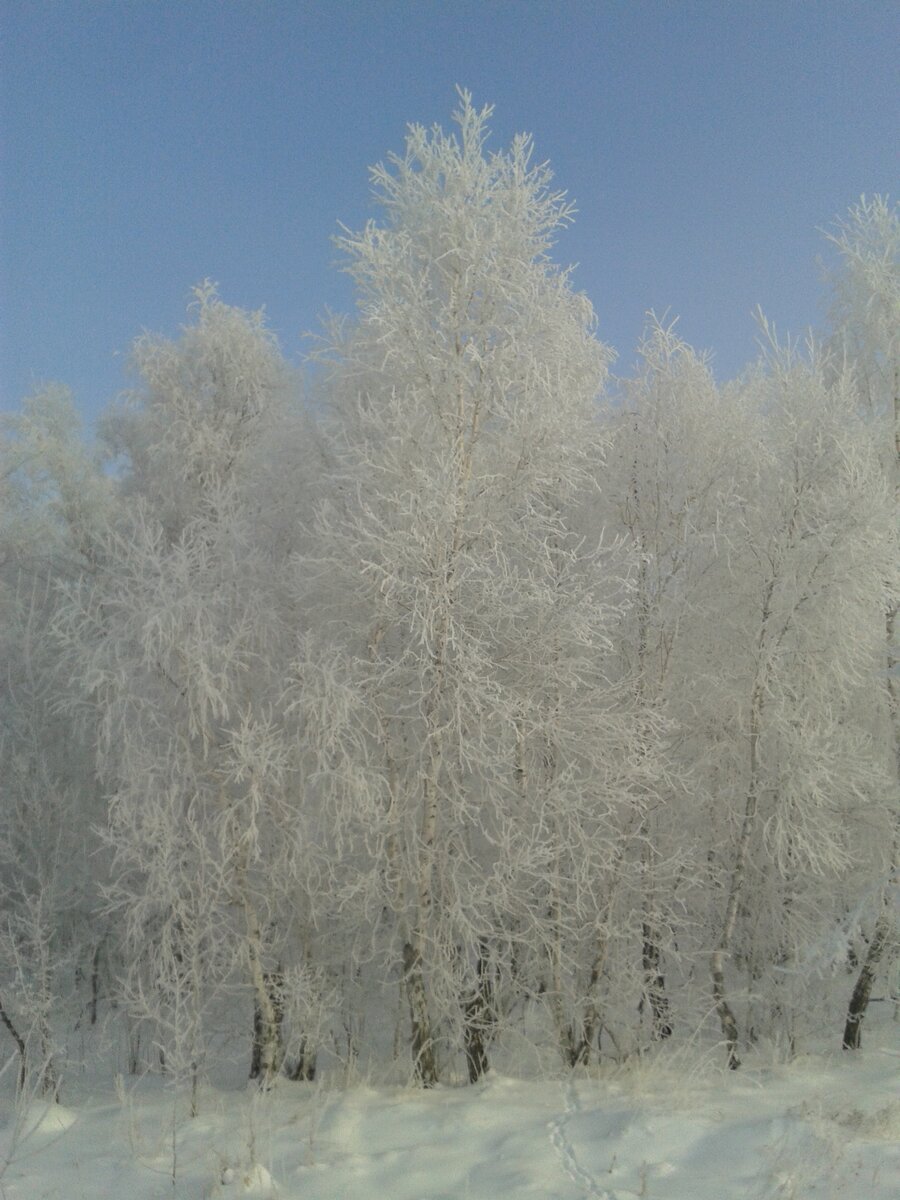 Фото автора.